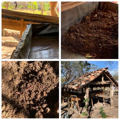 The compost worm boxes have been a huge benefit to the villages of Nandarola and La Vigie. They provide rich, black compost and the worm urine makes excellent pestiside. 