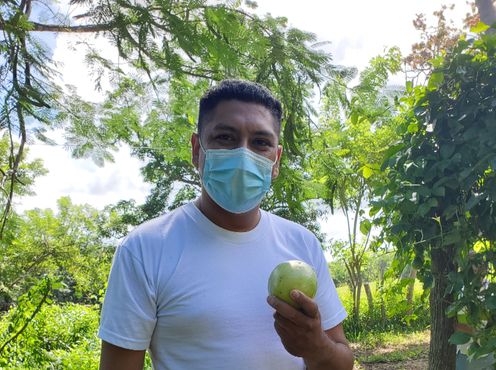 Jimmy Espinoza, COMMITs' hired agronomist,holds one of the ripe passion fruits that is ready to be eaten. We were able to enjoy a taste of this delicious fruit.