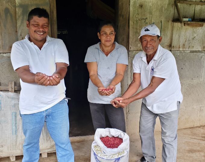 Francisco, Yolanda and Siriaco proudly show off the red beans harvested that are used in the Gallo pinto dish here, a Nicaraguan staple